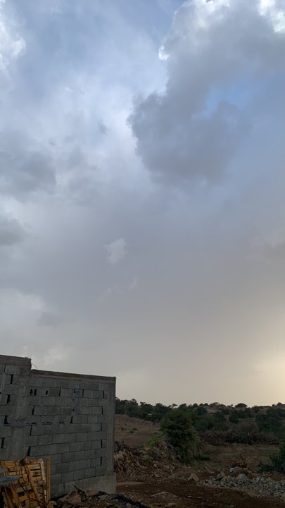 مشاركاتي في أنت الراصد