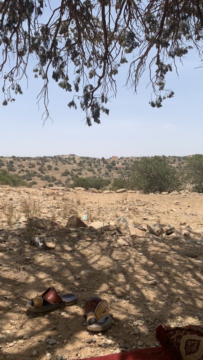 مشاركاتي في أنت الراصد