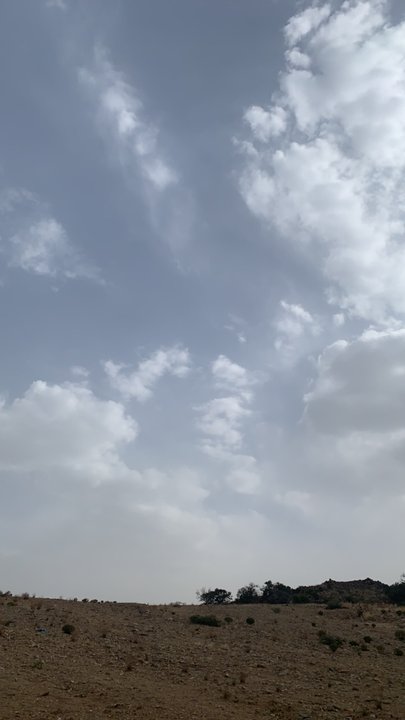 مشاركاتي في أنت الراصد