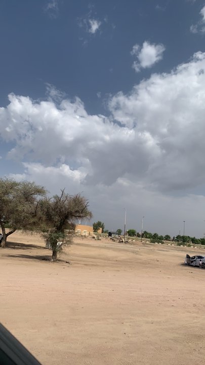 مشاركاتي في أنت الراصد