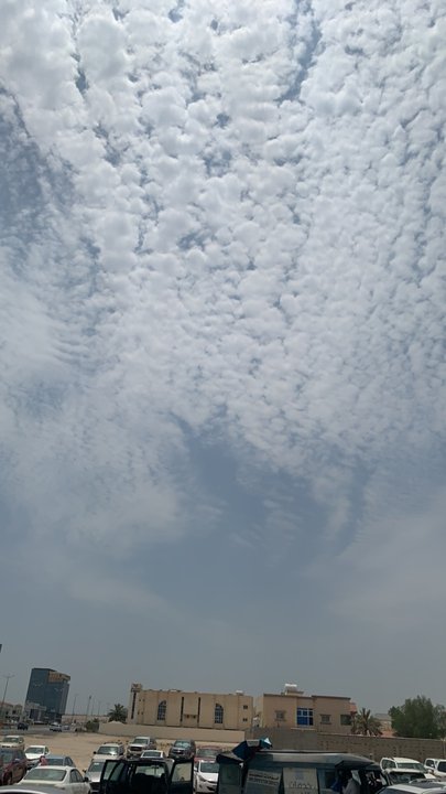 مشاركاتي في أنت الراصد