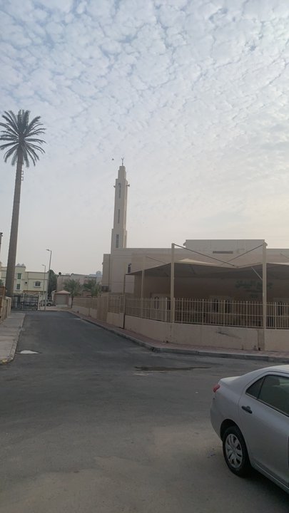 مشاركاتي في أنت الراصد