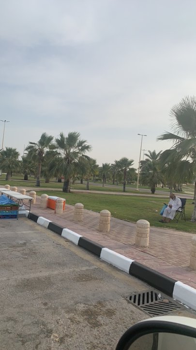 مشاركاتي في أنت الراصد