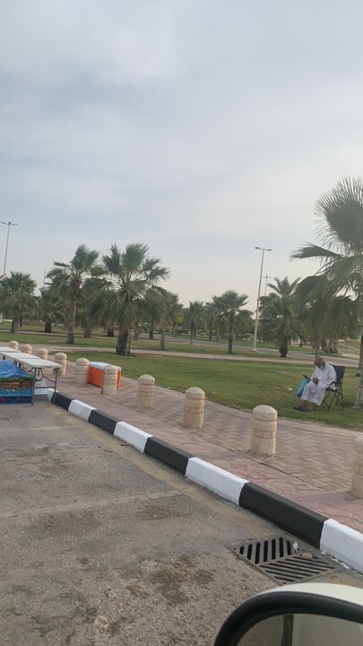 مشاركاتي في أنت الراصد