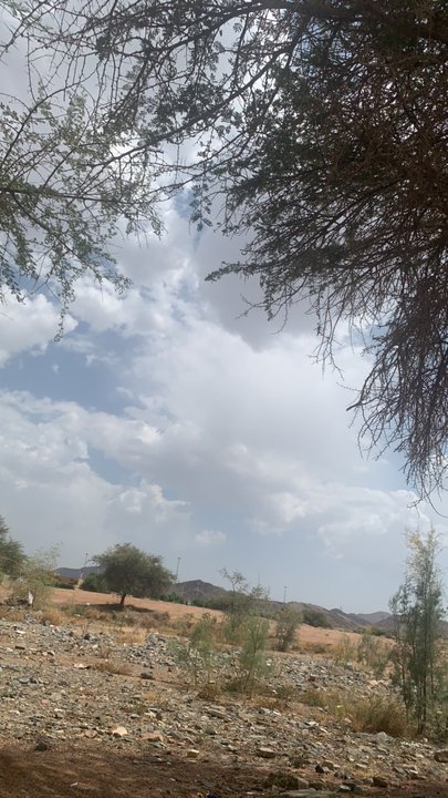 مشاركاتي في أنت الراصد