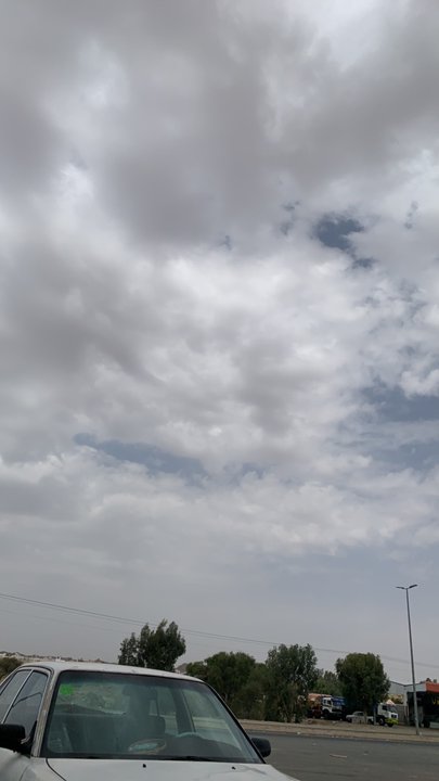 مشاركاتي في أنت الراصد