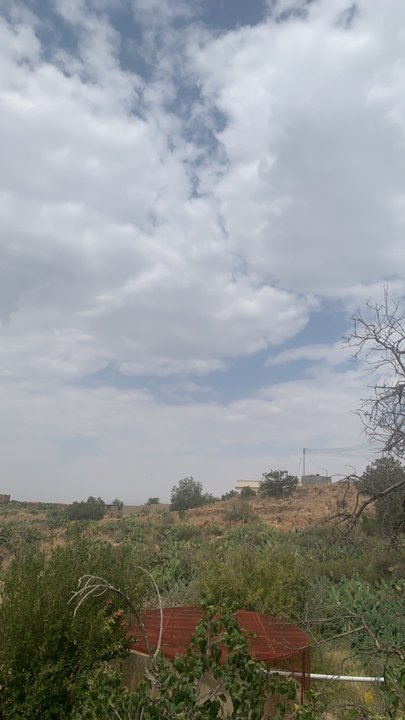 مشاركاتي في أنت الراصد