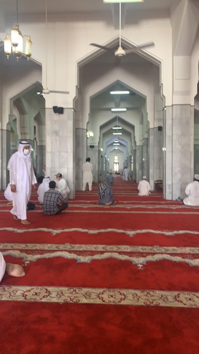 مشاركاتي في أنت الراصد