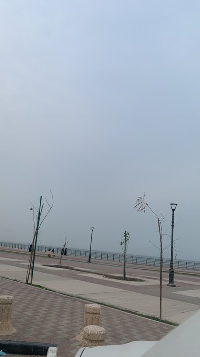 مشاركاتي في أنت الراصد