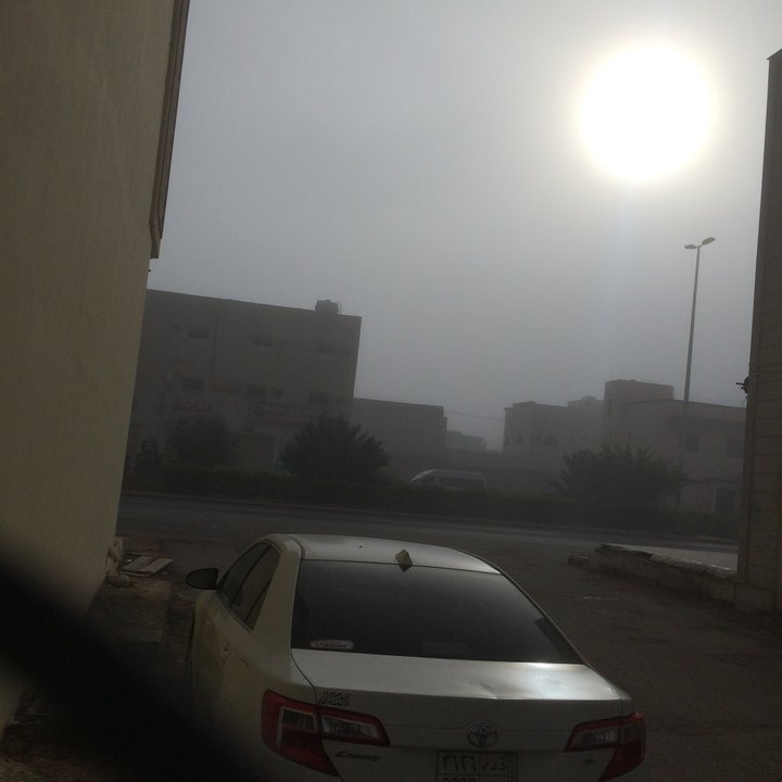 مشاركاتي في أنت الراصد