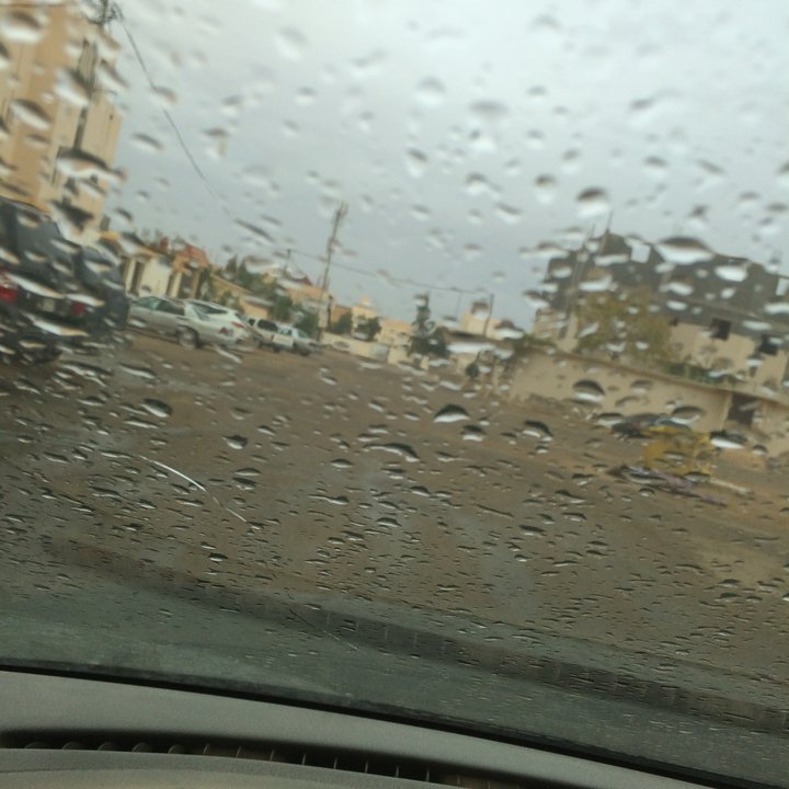 مشاركاتي في أنت الراصد