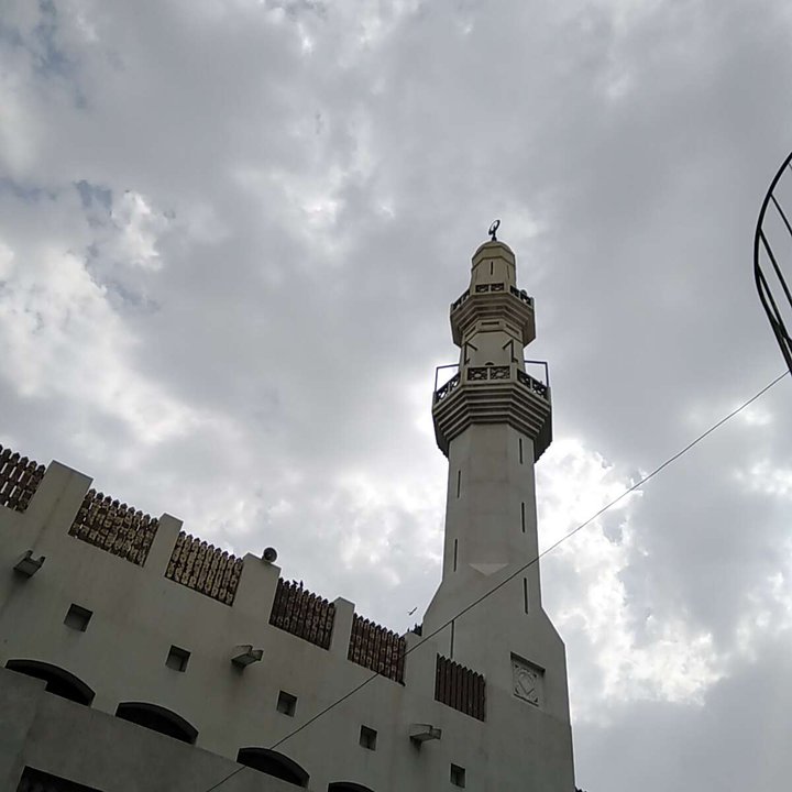 مشاركاتي في أنت الراصد