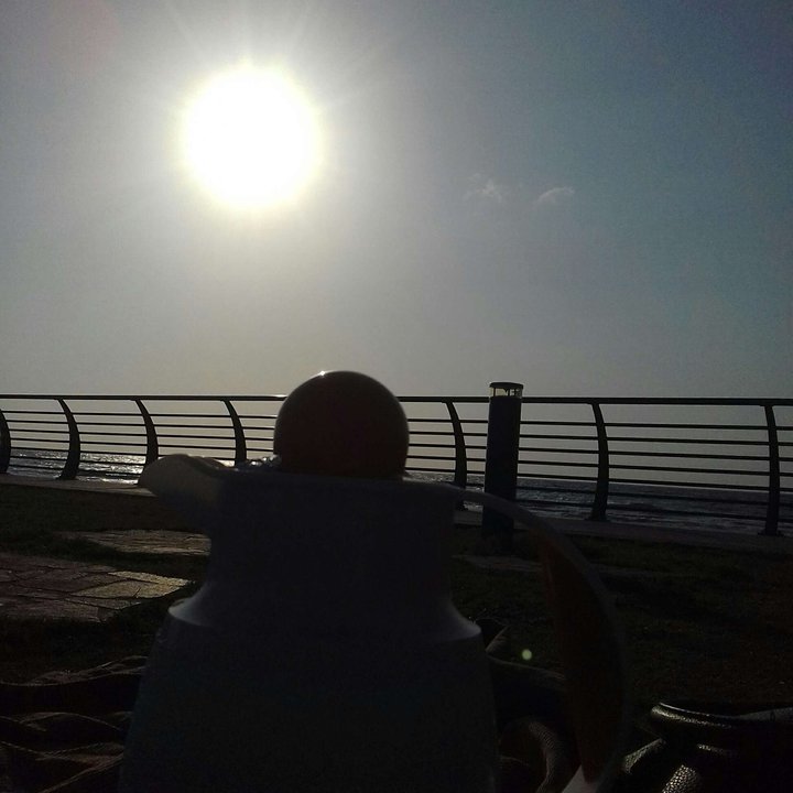 مشاركاتي في أنت الراصد