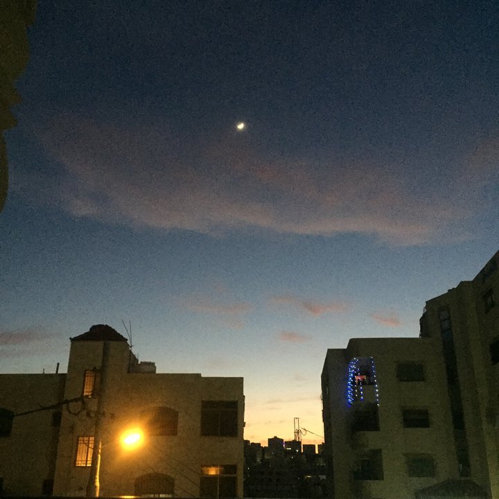 مشاركاتي في أنت الراصد