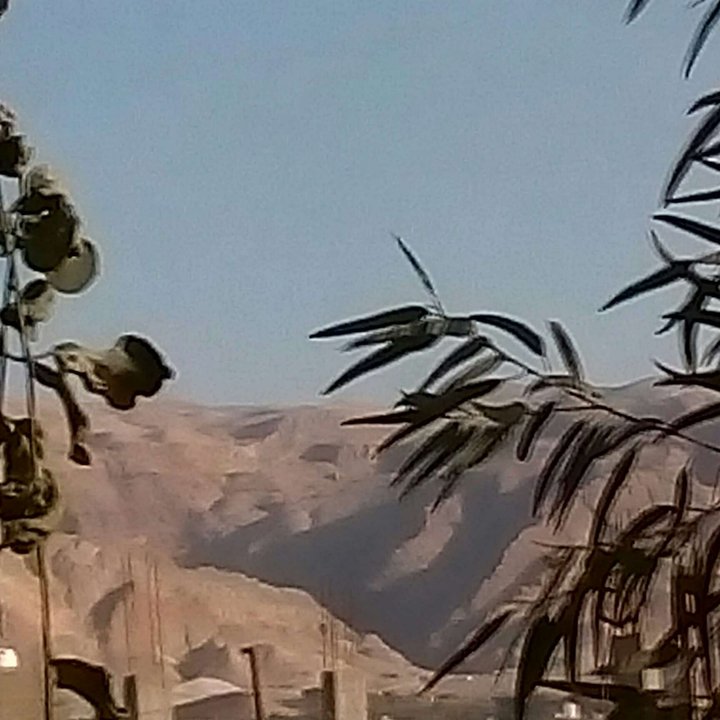 My Crowdsourcing Posts