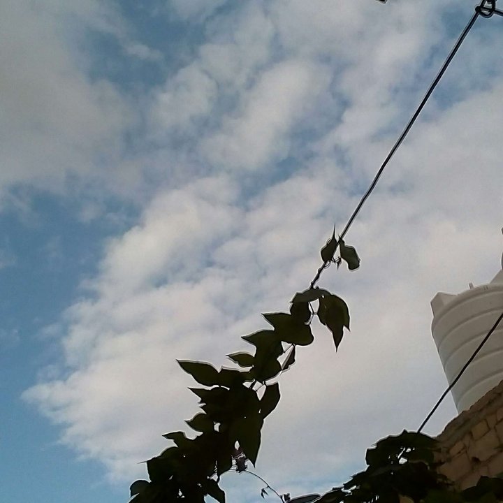 My Crowdsourcing Posts