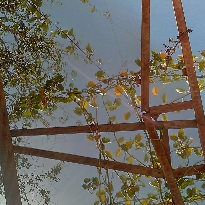 My Crowdsourcing Posts