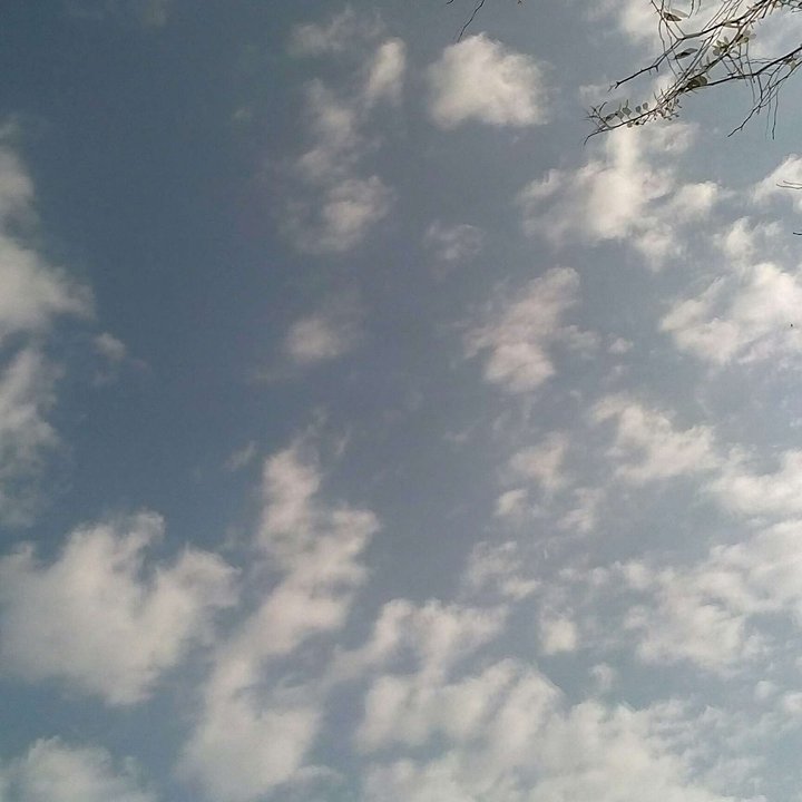 My Crowdsourcing Posts