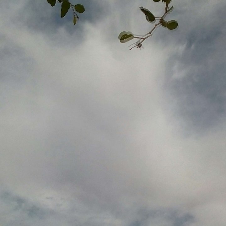 My Crowdsourcing Posts