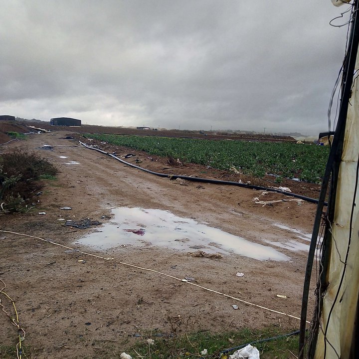 My Crowdsourcing Posts