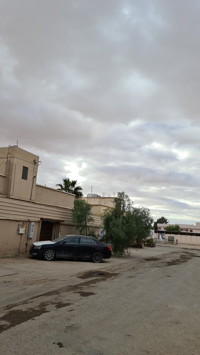 مشاركاتي في أنت الراصد