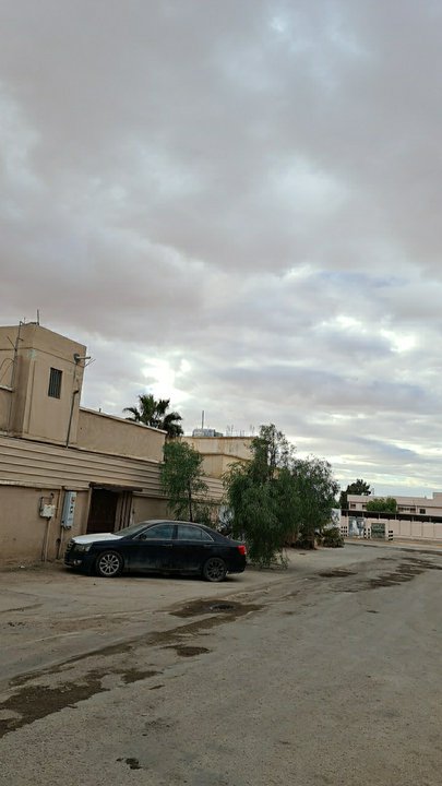 مشاركاتي في أنت الراصد