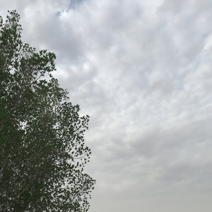 My Crowdsourcing Posts