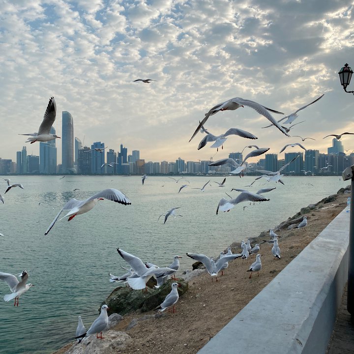 My Crowdsourcing Posts