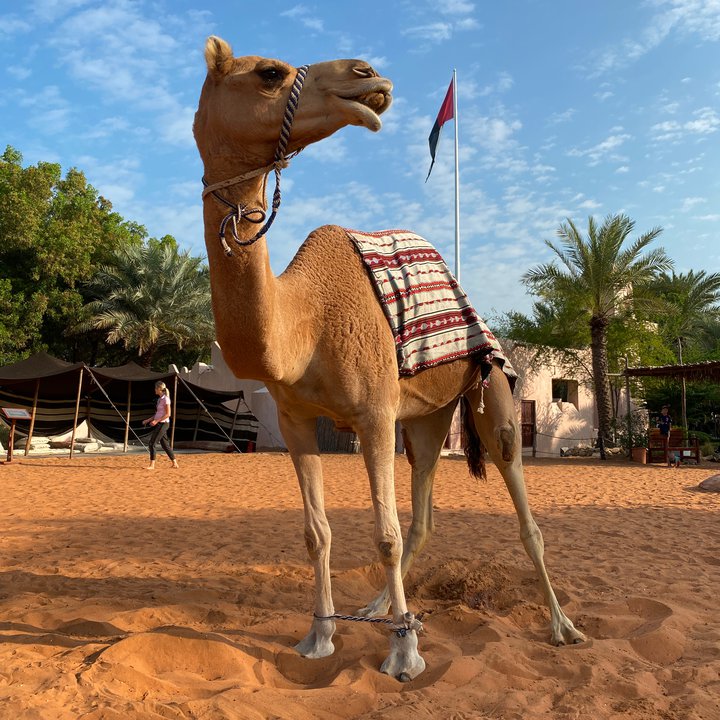 My Crowdsourcing Posts