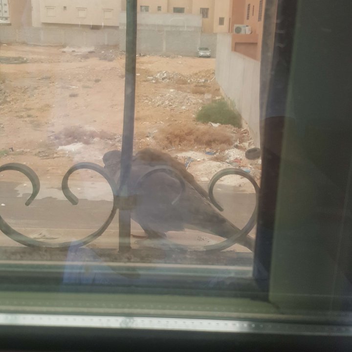 My Crowdsourcing Posts