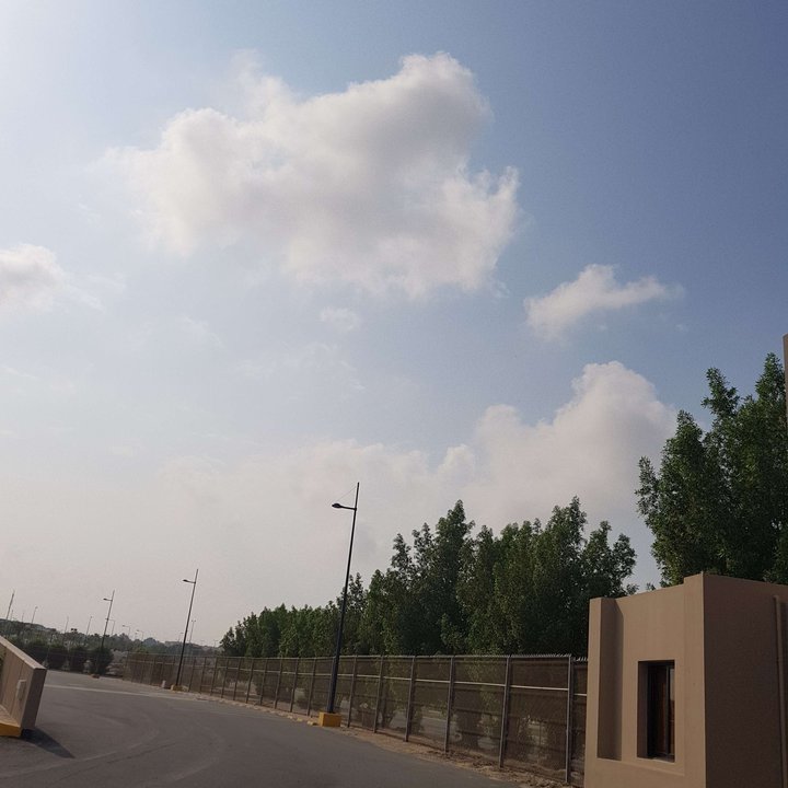 مشاركاتي في أنت الراصد