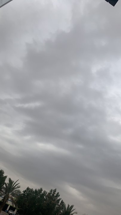 مشاركاتي في أنت الراصد