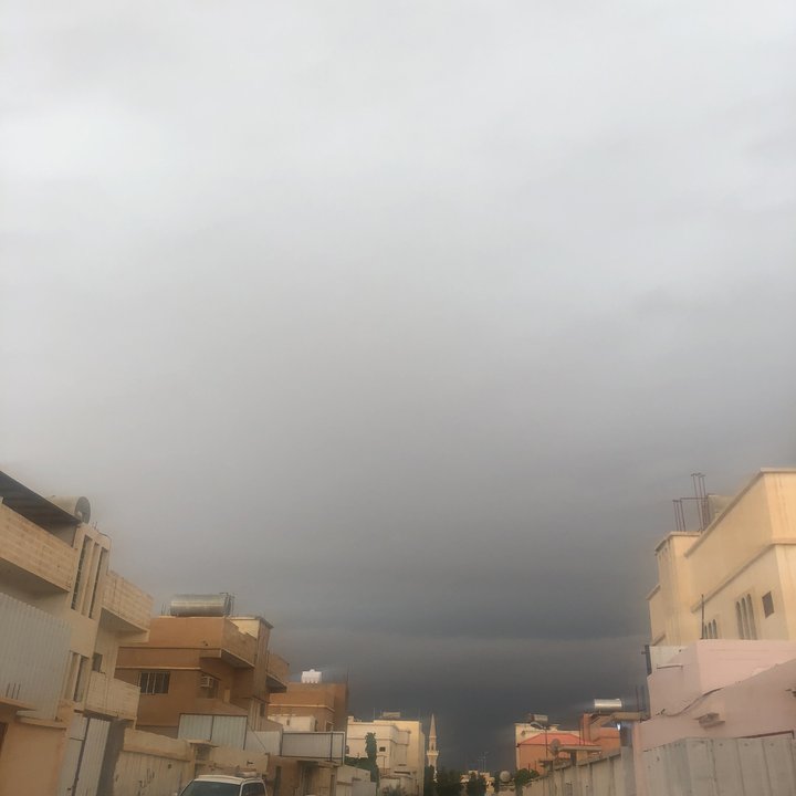 مشاركاتي في أنت الراصد