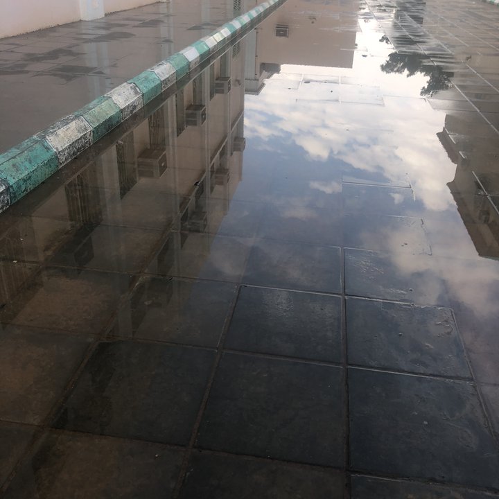 مشاركاتي في أنت الراصد