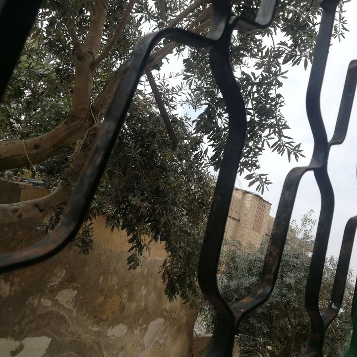 My Crowdsourcing Posts