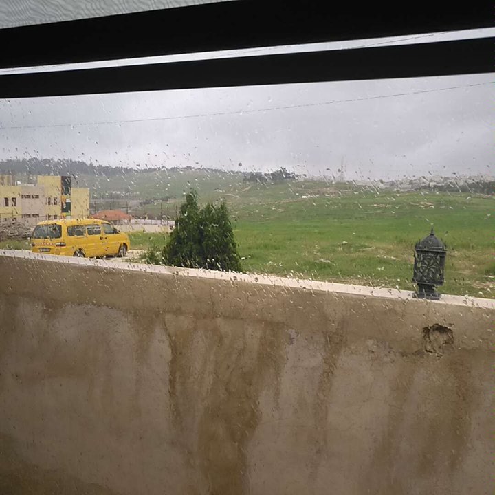 مشاركاتي في أنت الراصد