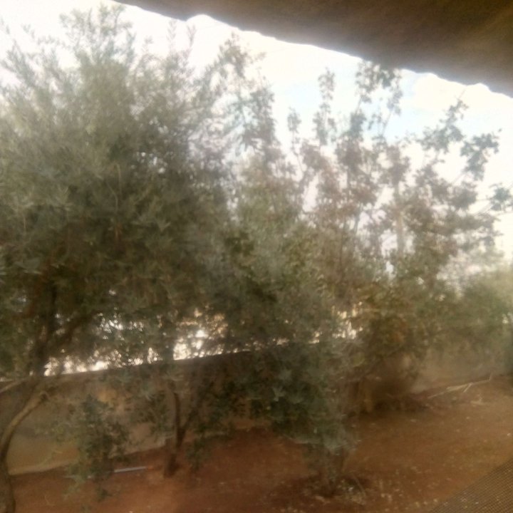 My Crowdsourcing Posts