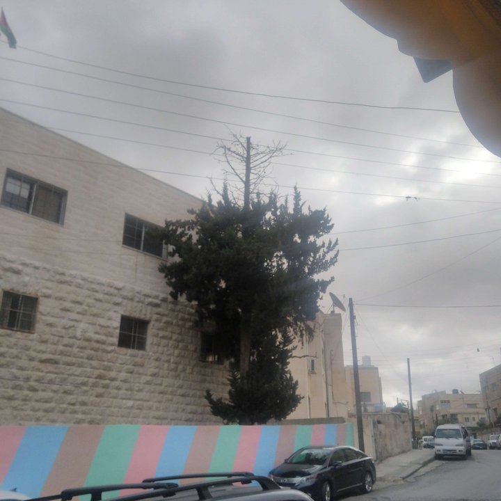 My Crowdsourcing Posts