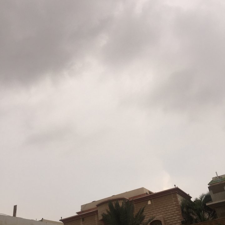 مشاركاتي في أنت الراصد