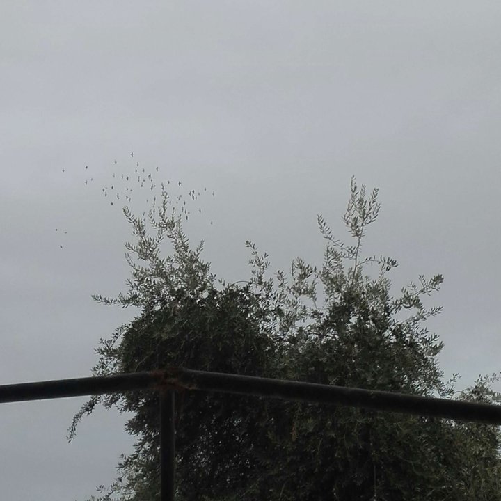 My Crowdsourcing Posts