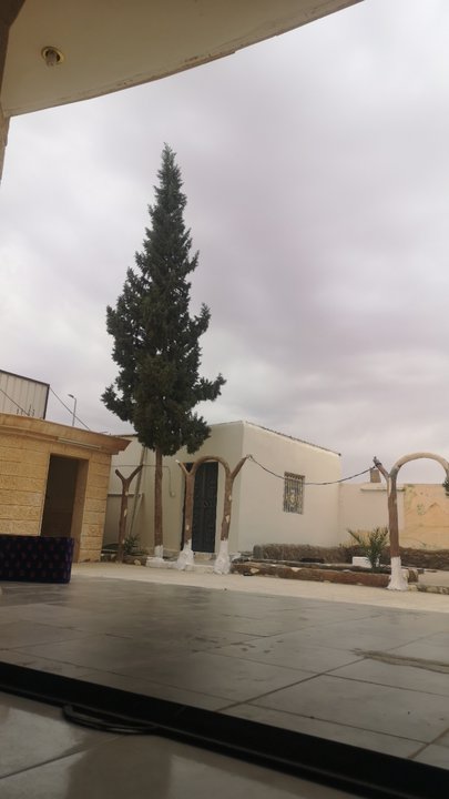 مشاركاتي في أنت الراصد