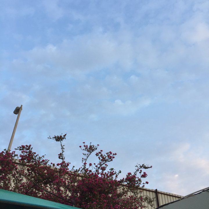 My Crowdsourcing Posts