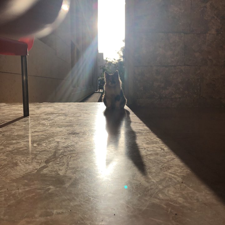 My Crowdsourcing Posts