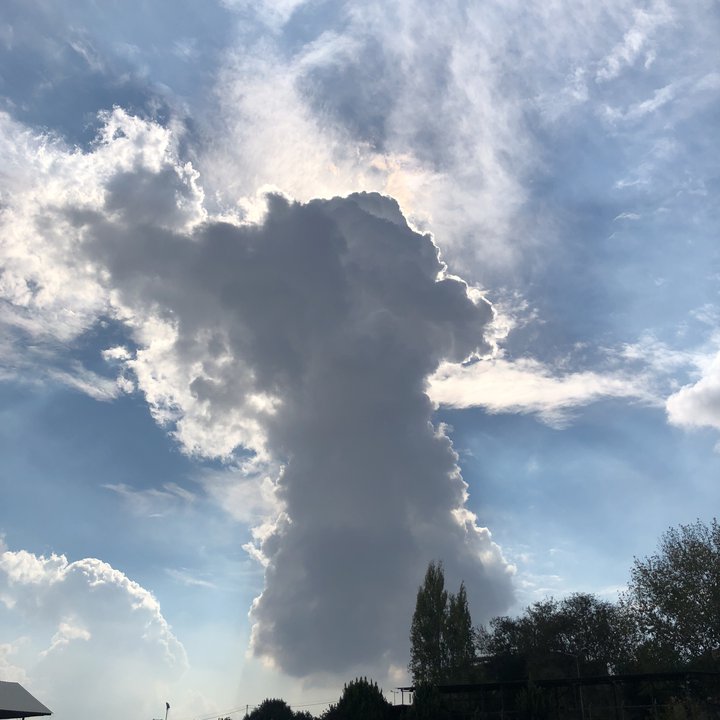 My Crowdsourcing Posts