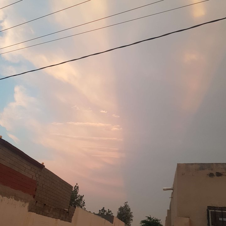 مشاركاتي في أنت الراصد