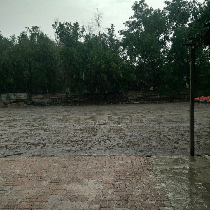 My Crowdsourcing Posts