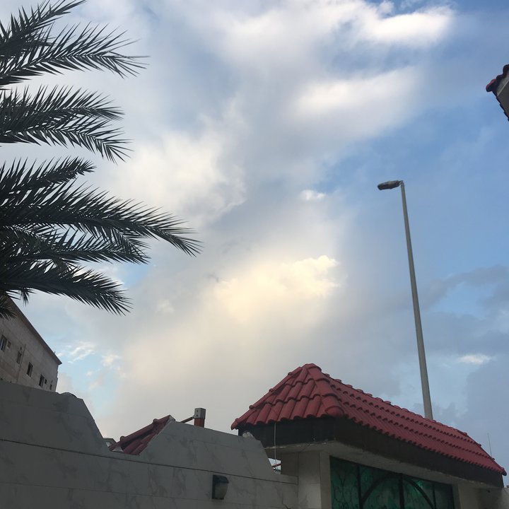 مشاركاتي في أنت الراصد