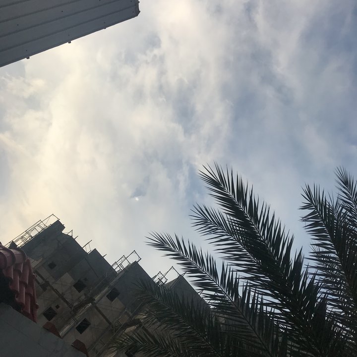 مشاركاتي في أنت الراصد