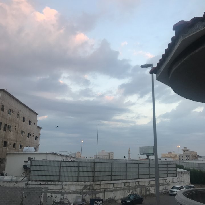 مشاركاتي في أنت الراصد