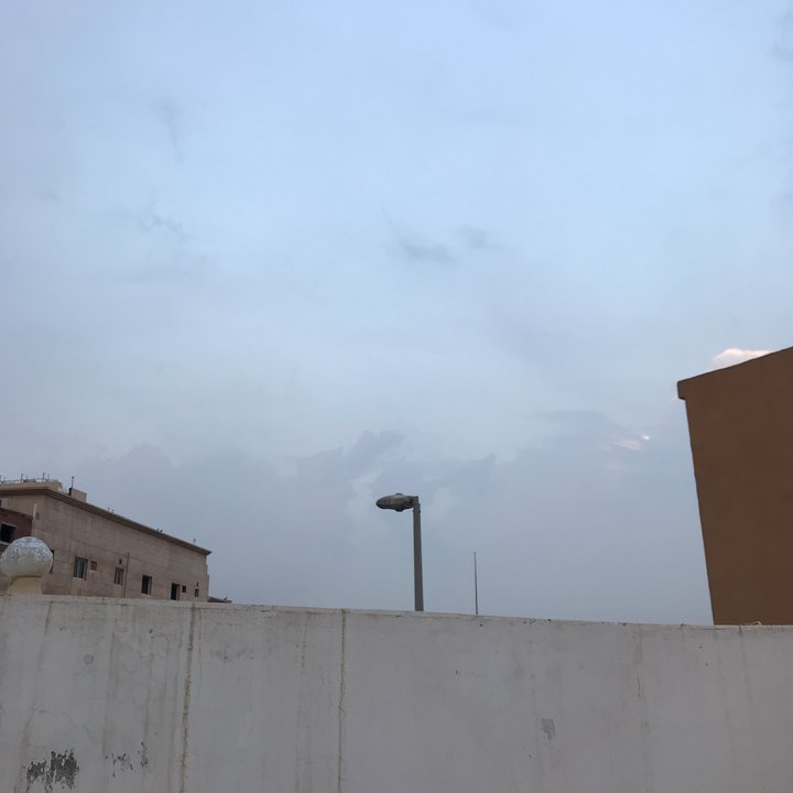 مشاركاتي في أنت الراصد